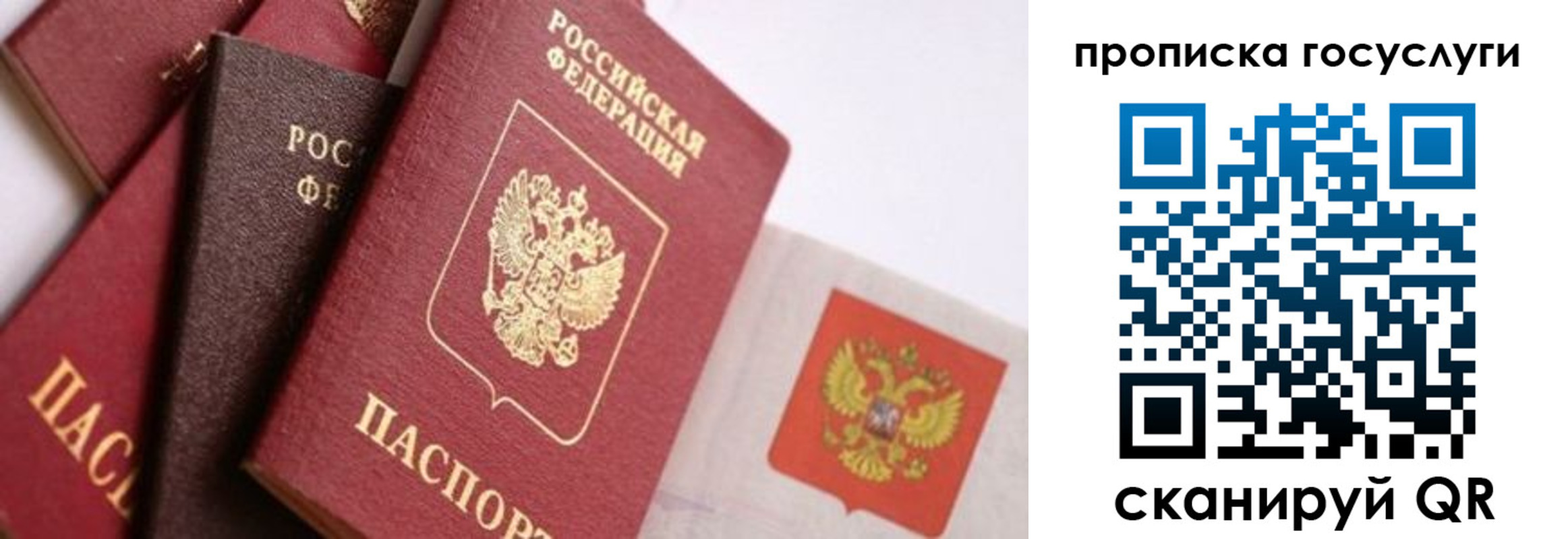 прописка законно в Альметьевске